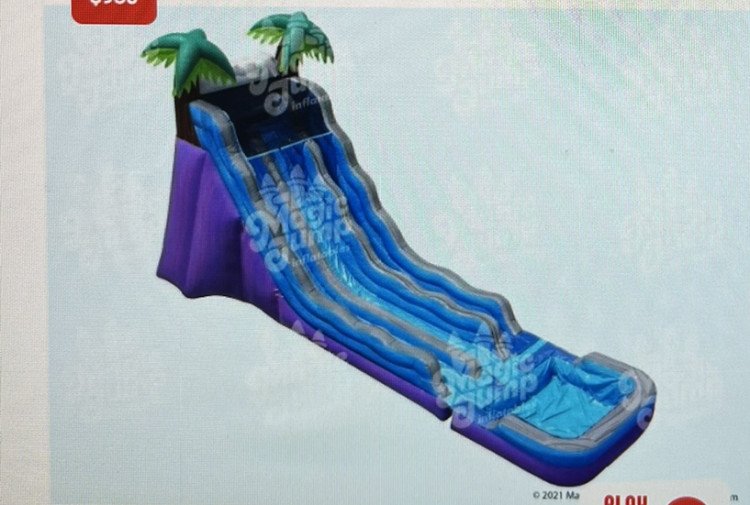 20' Palm Water Slide Dual Lane Wet or Dry